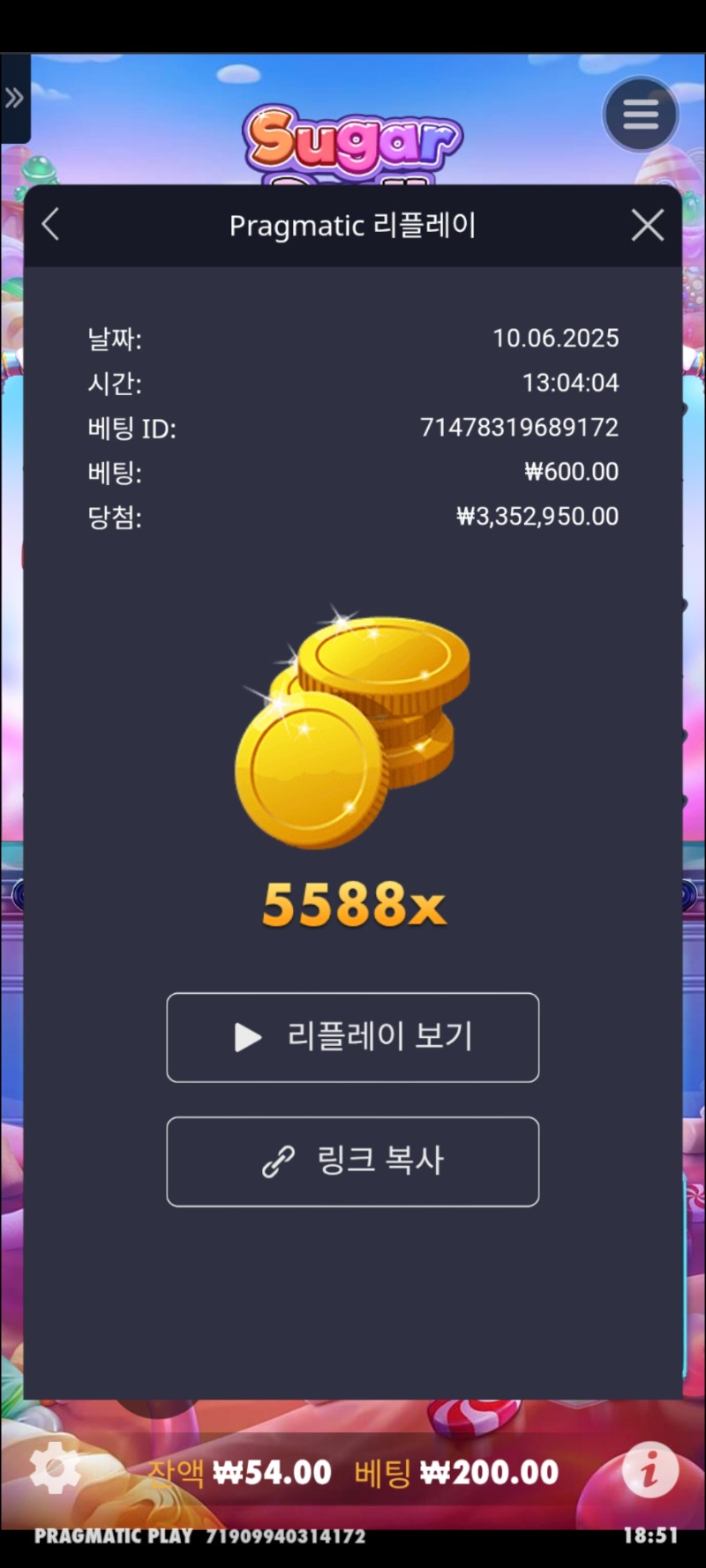 슈가 1000 / 5588배