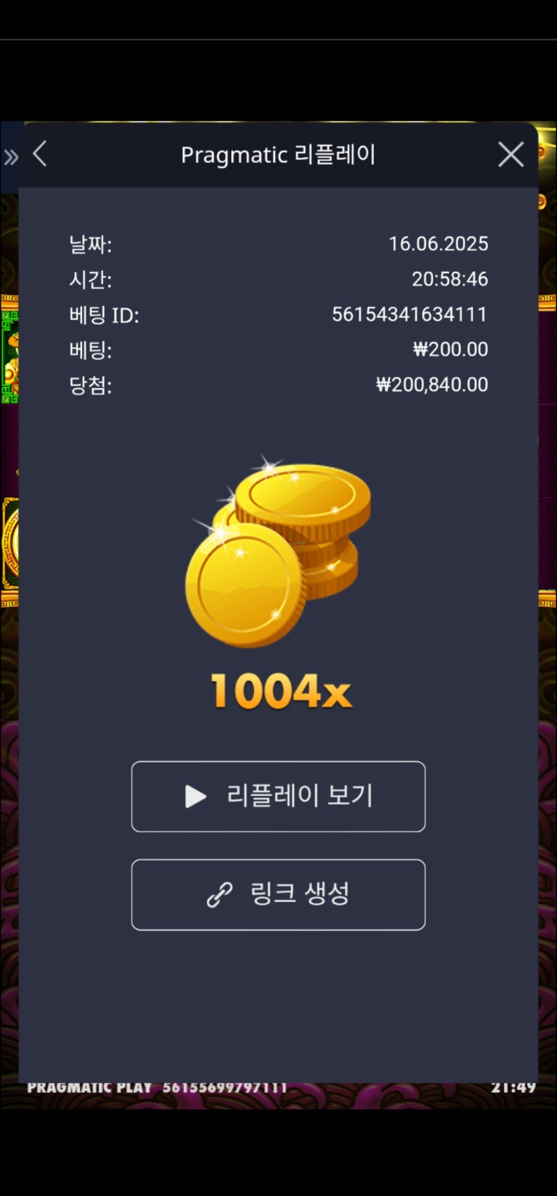 토라메 1004배