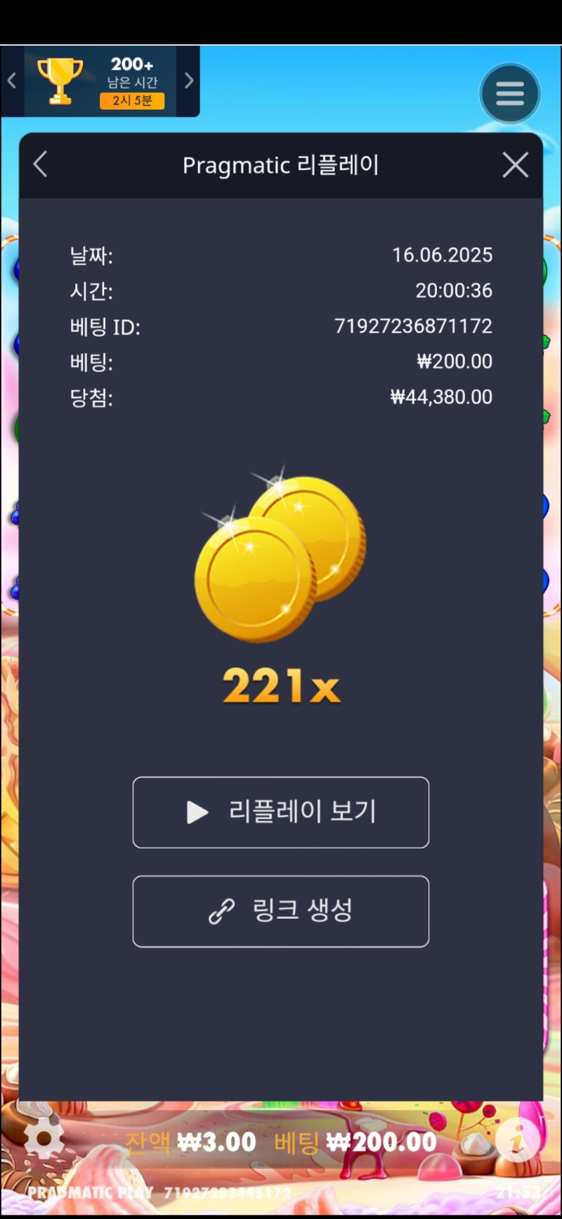 보난자1000 221배