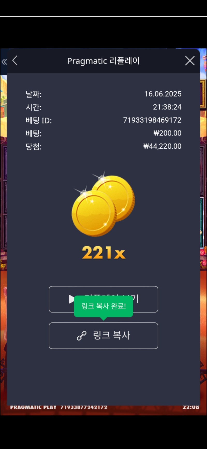 무에르 221배