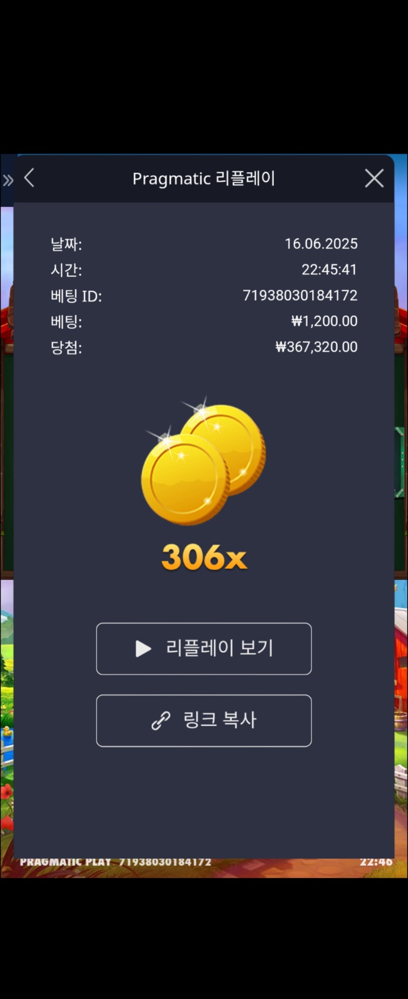 닭집306배