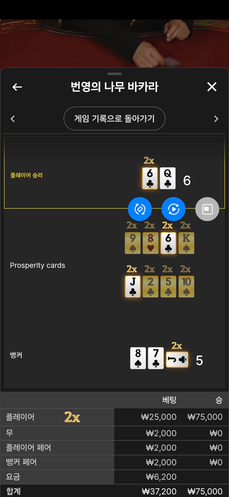 문 카라