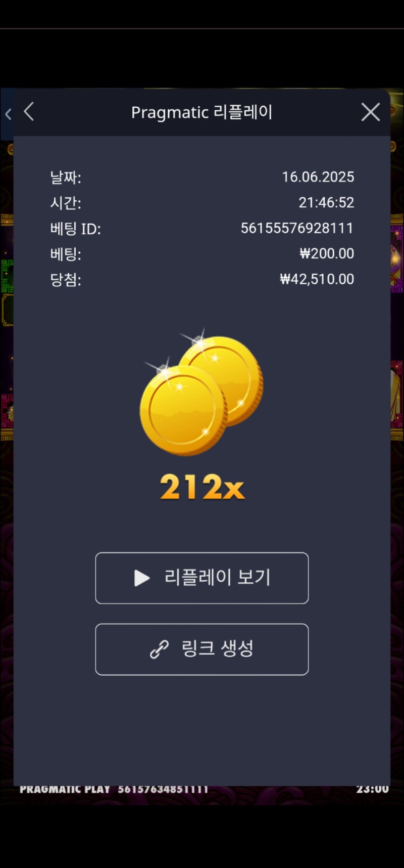 토라메 212배