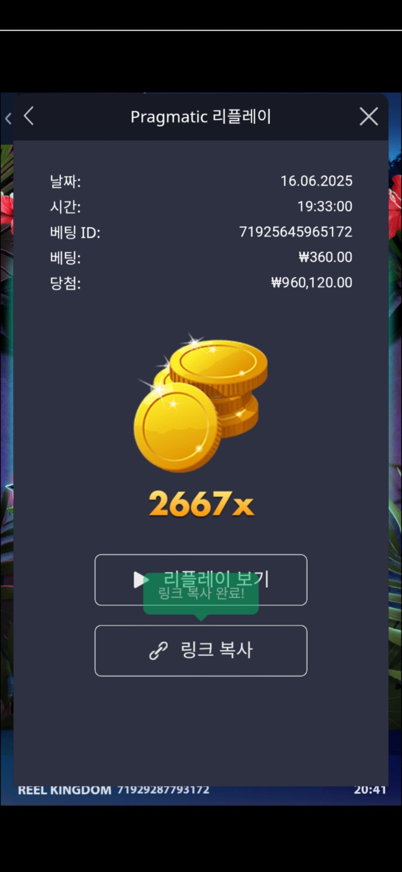 배당왕 신청