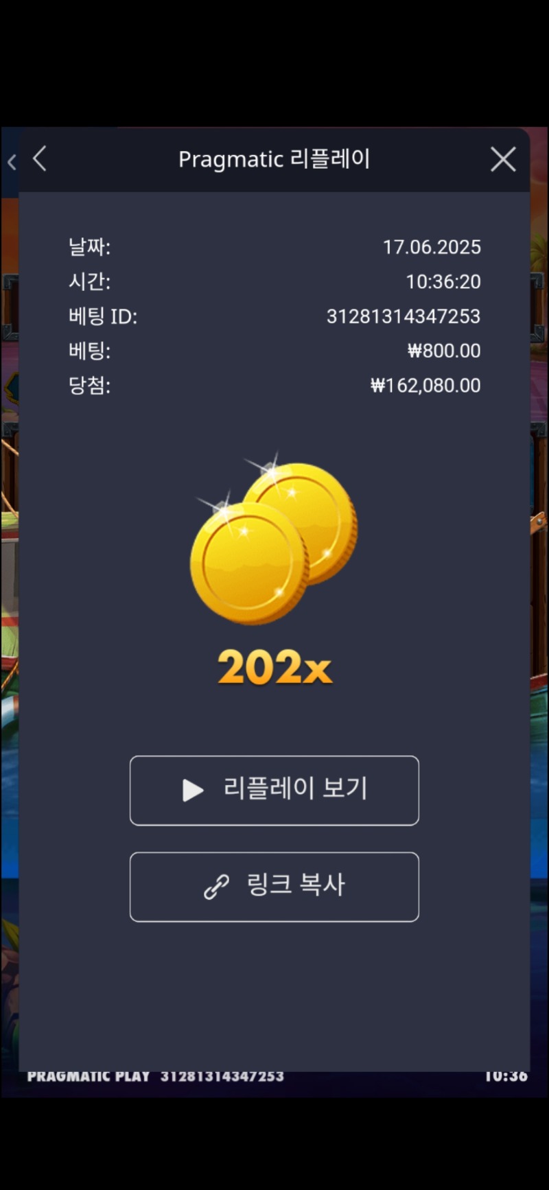 럭피202배
