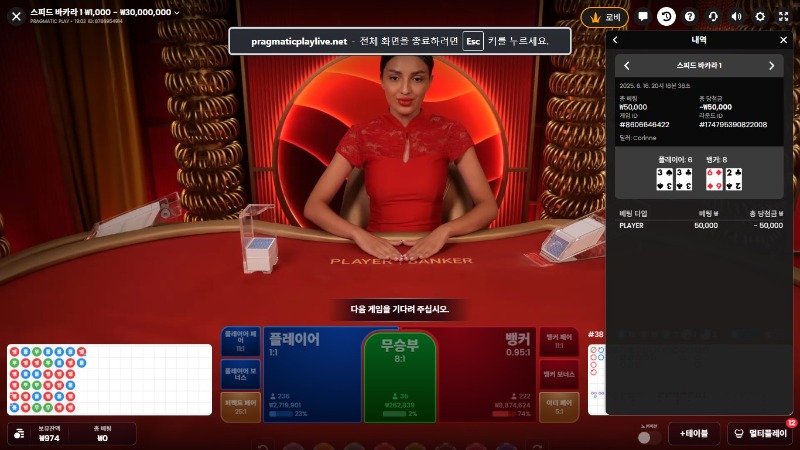 프라그 소액 카라3 패 (1,2사진다시올림)