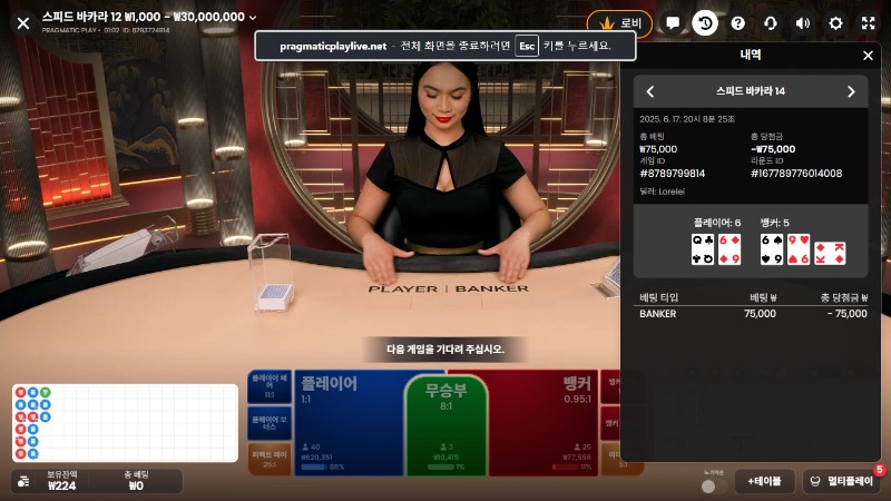 소액 카라3 패