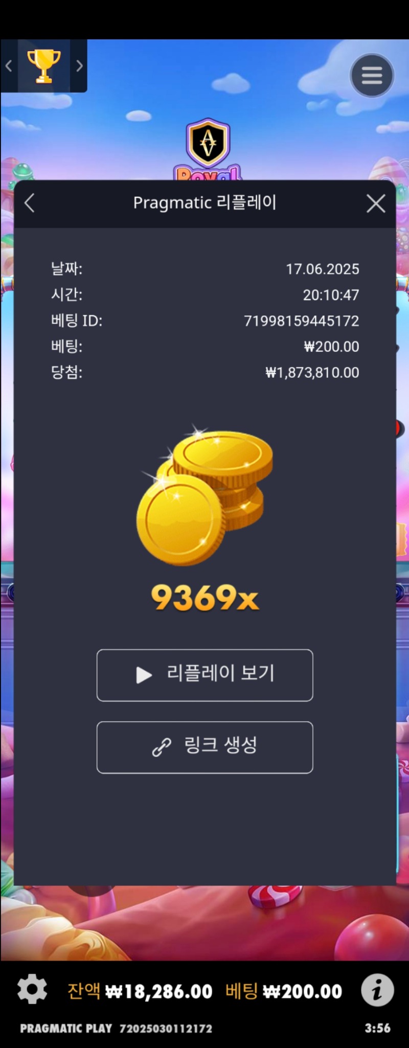 슈가로얄 일반  링크복사가안돼서 사진만