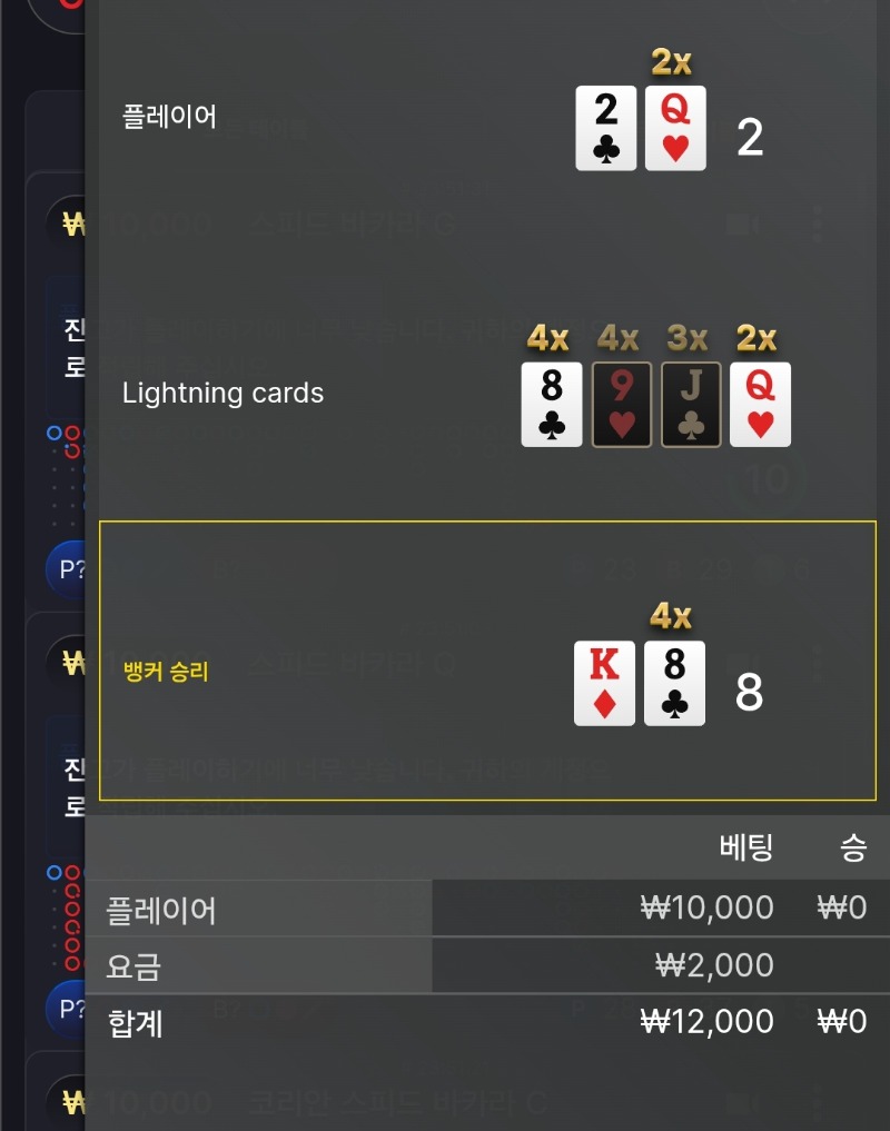 번개 카라 패