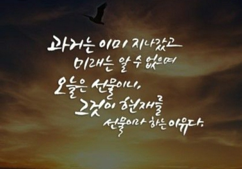 굿몽~굿모닝