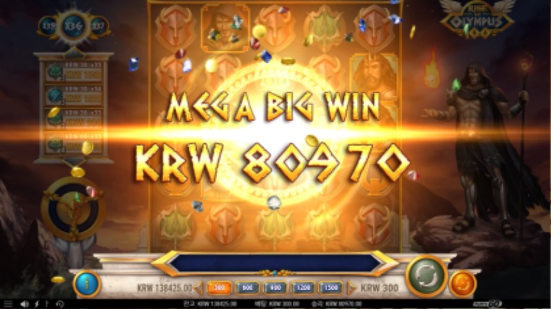 플앤고 올림푸스100 268배당~