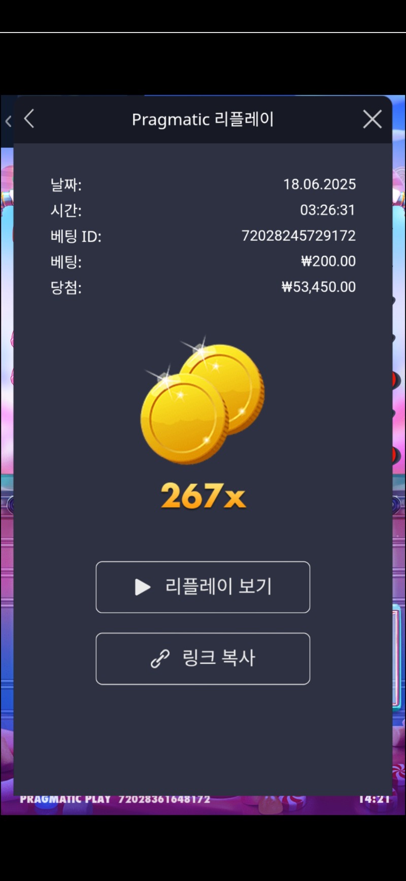 슈가러쉬267배