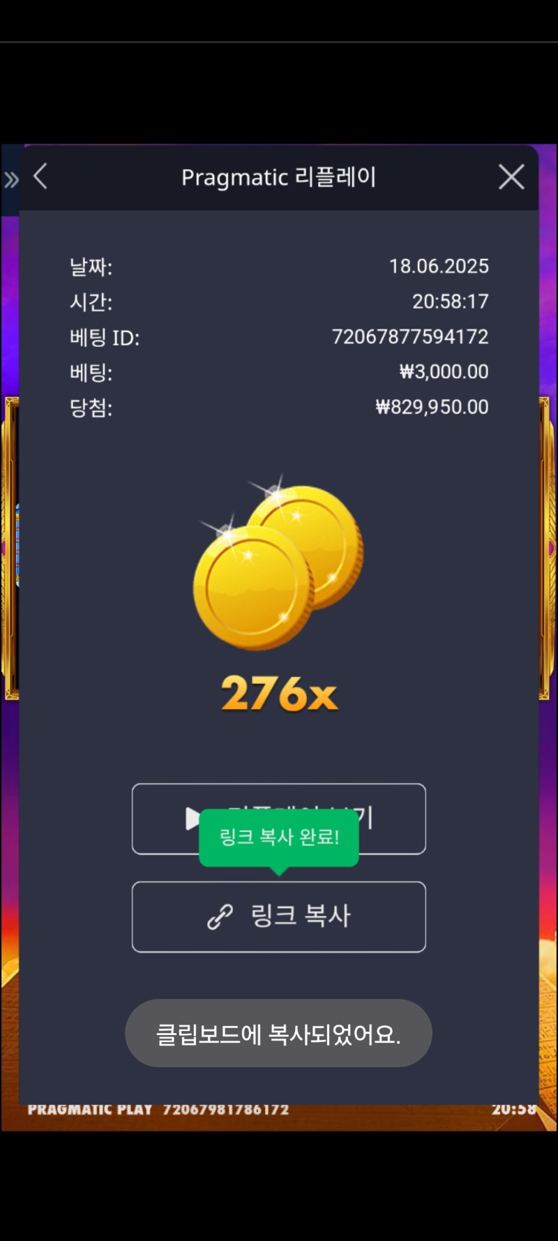 포츈오브기자  276배