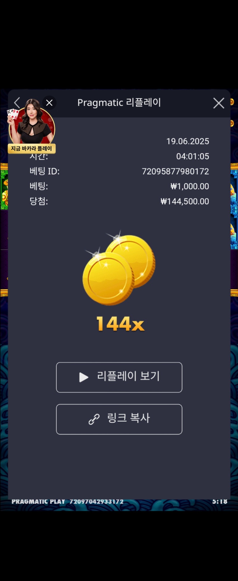 오늘의배당 144배