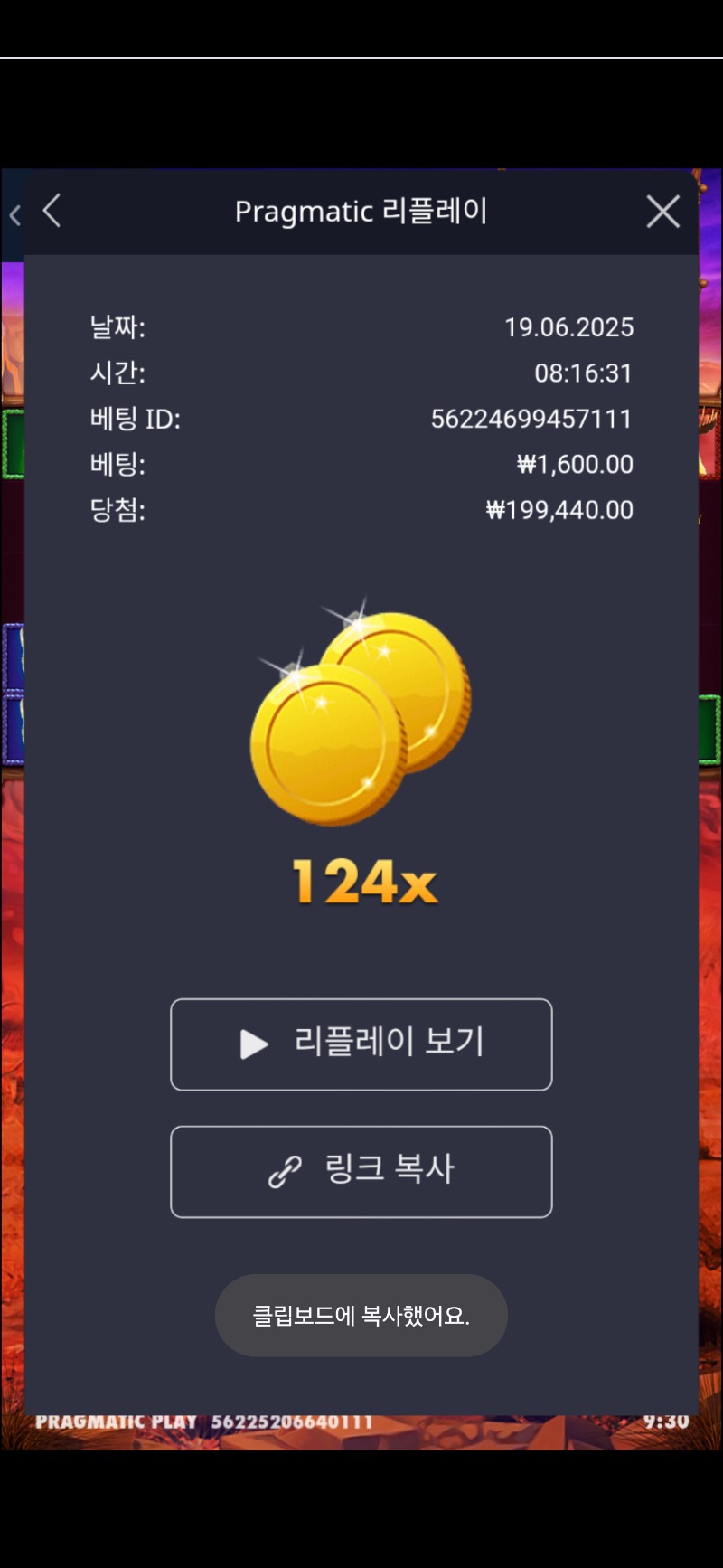 버메가 124배