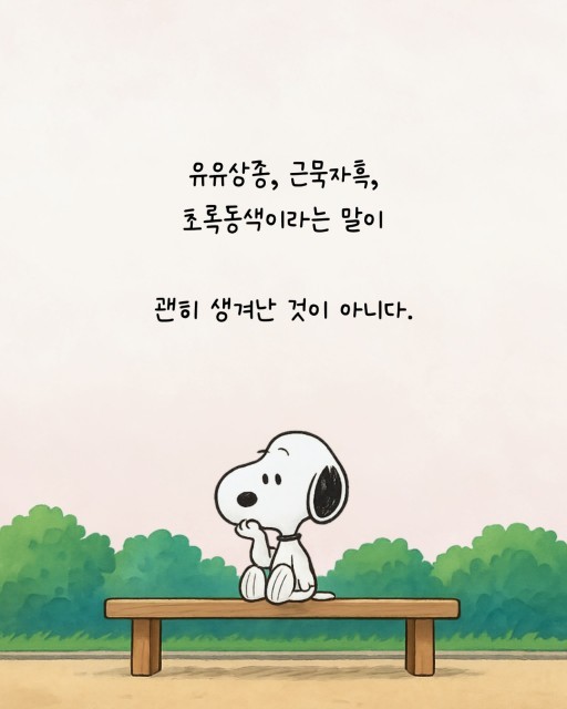군몽~장마시작 !!