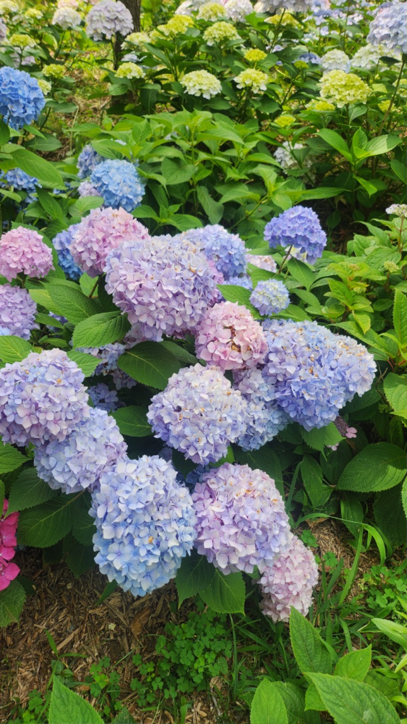 이쁘다~~