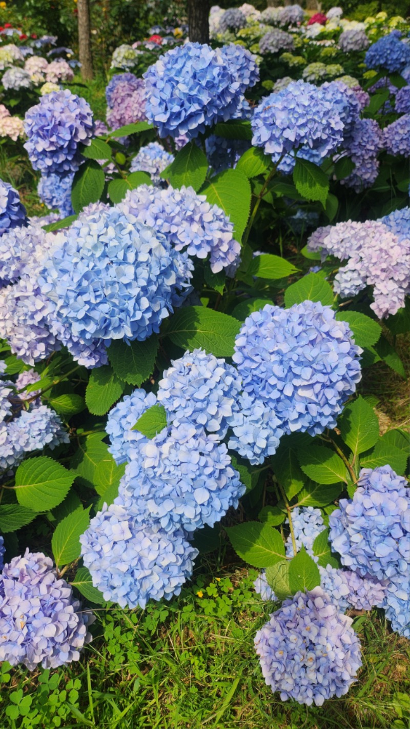 이쁘다~~