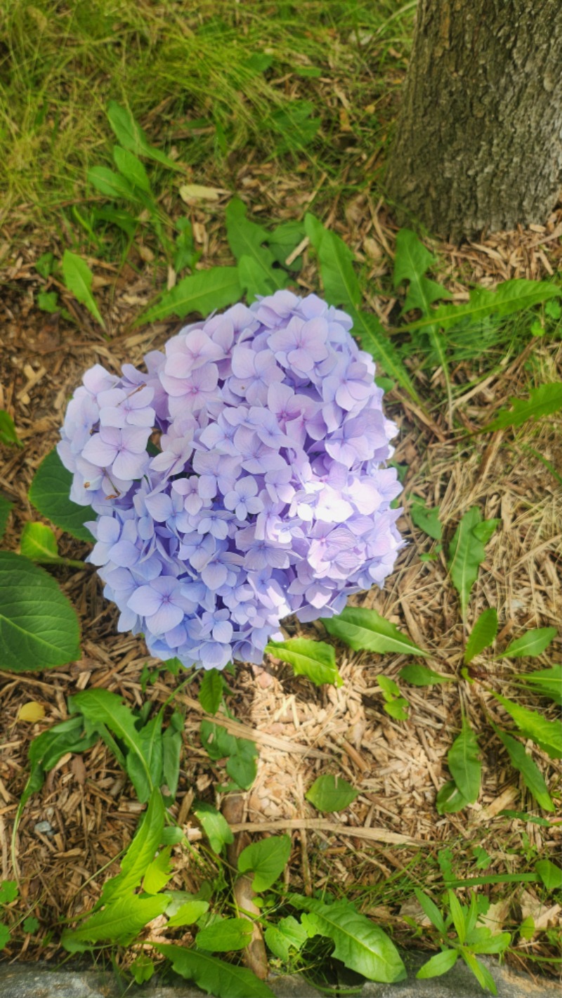 이쁘다~~