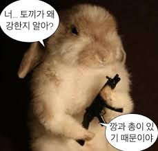 깡패 토끼