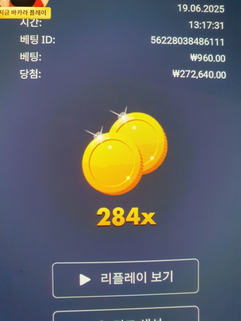클럽트로피카나 284