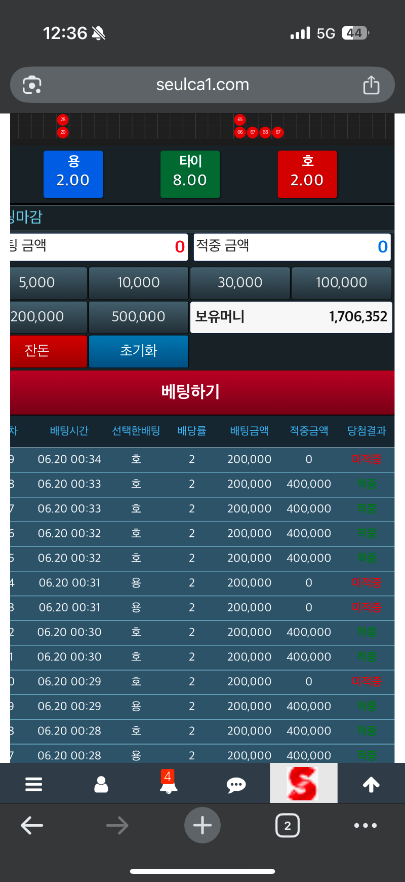 맥햄 용호 다녀왔습니다