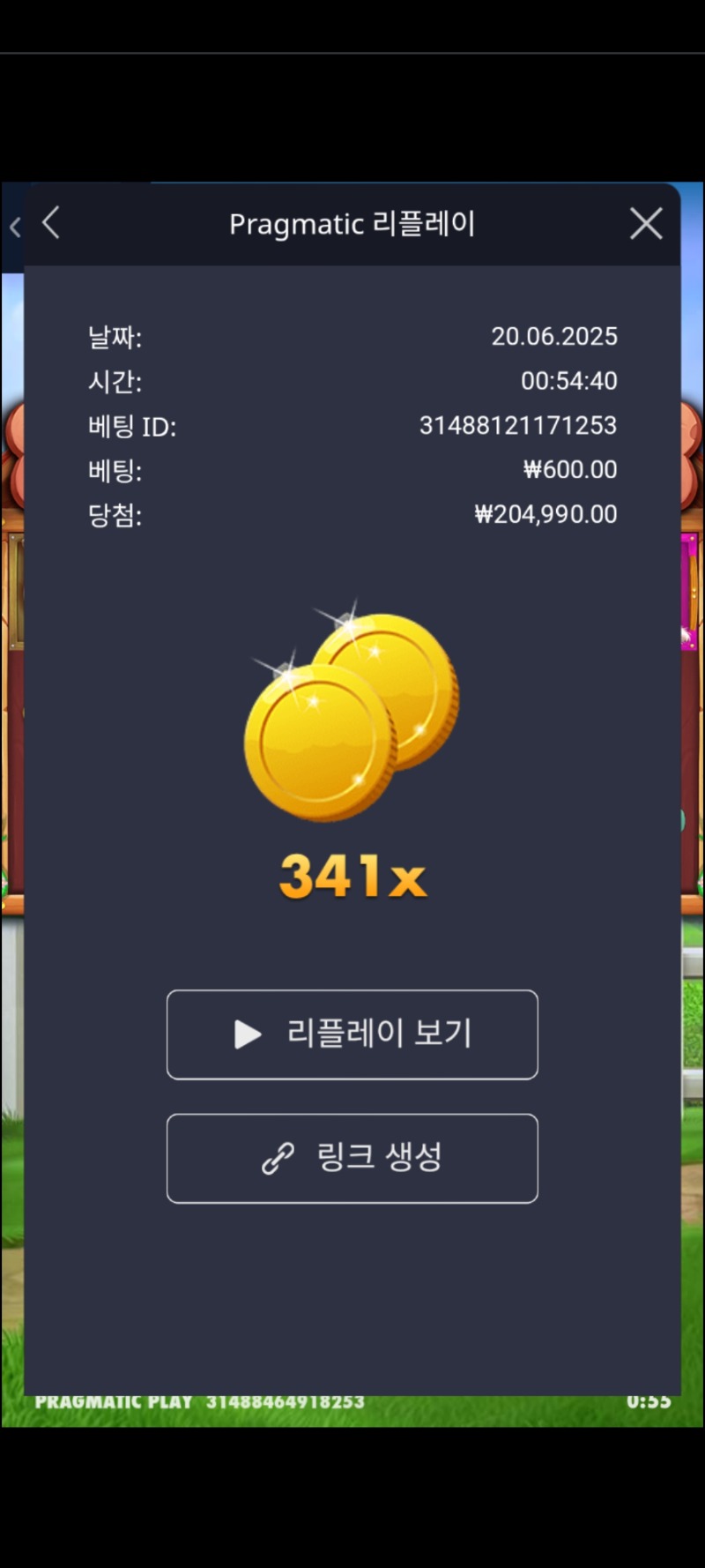 도그하우스 341배