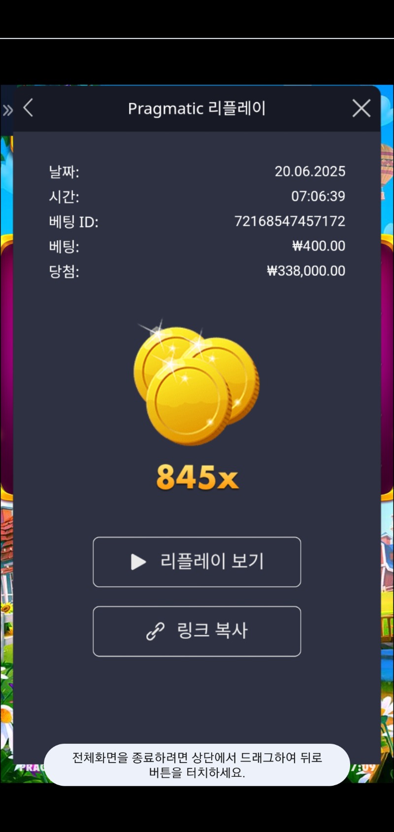 황금삽