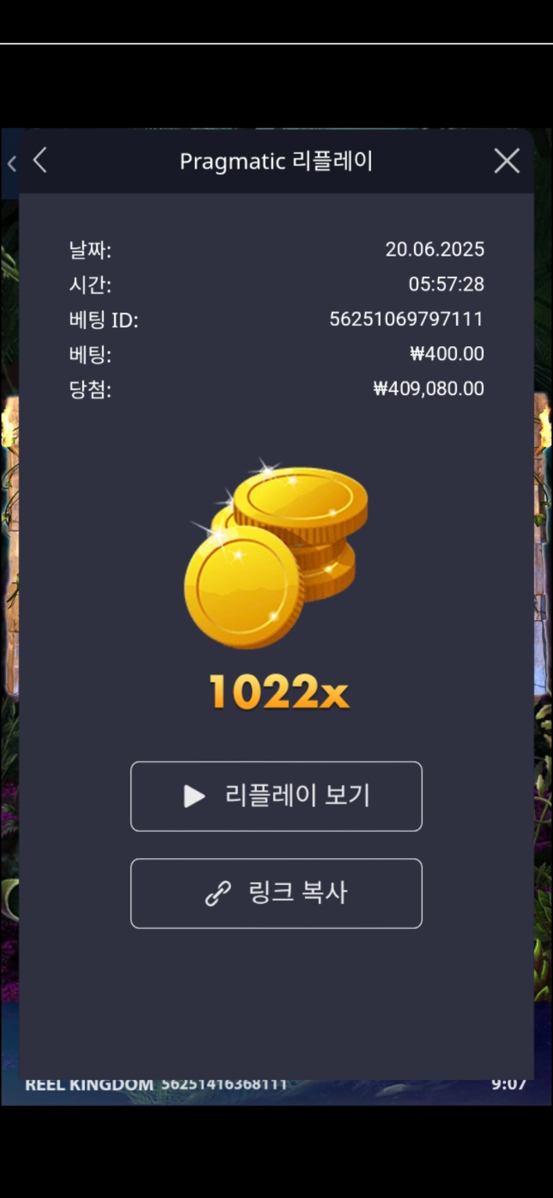록베가스1022배
