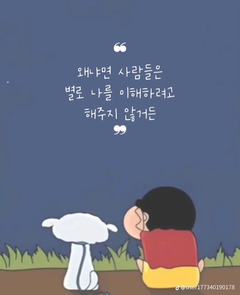 굿몽~비모닝!