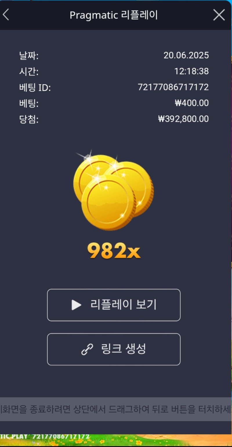 황금멀티 982배