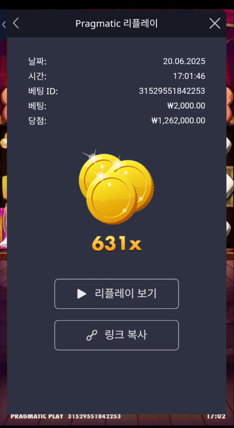 개집 주사위 631배