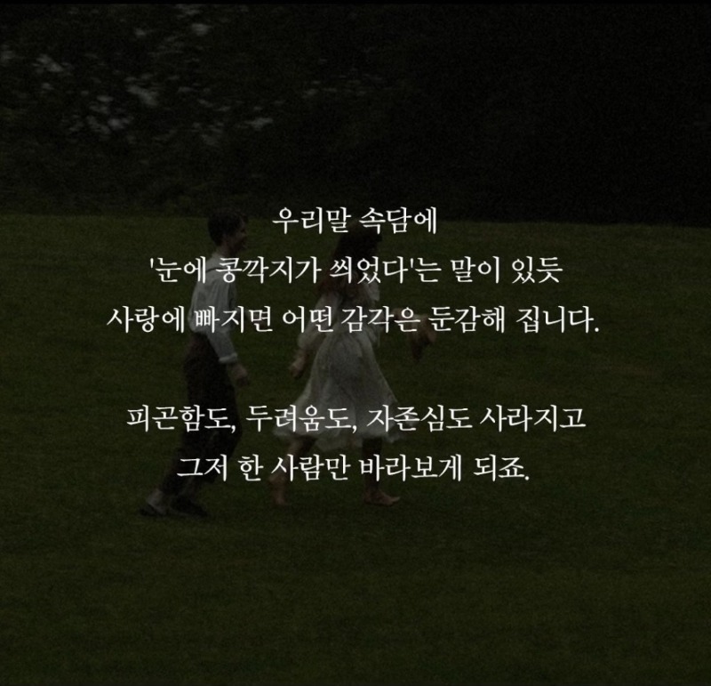 굿밤~여전히 아름다운지
