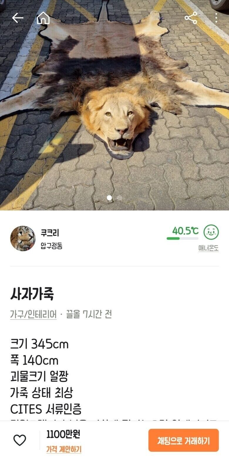 사자형 뭐해?????  팔려 가는거야??