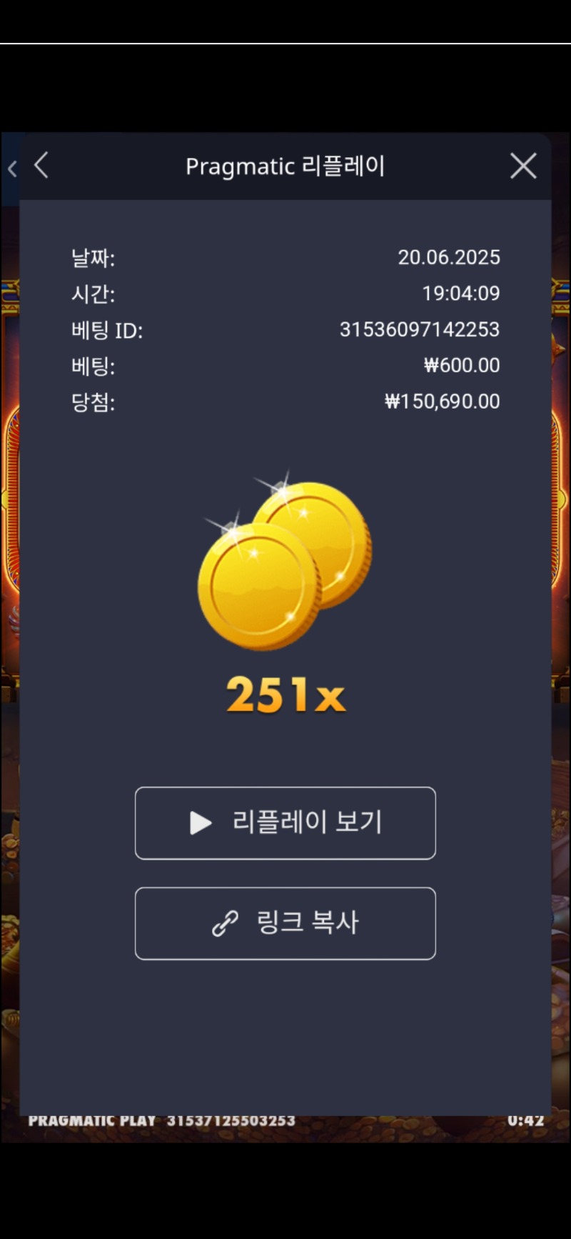 피라미드 보난자 251배