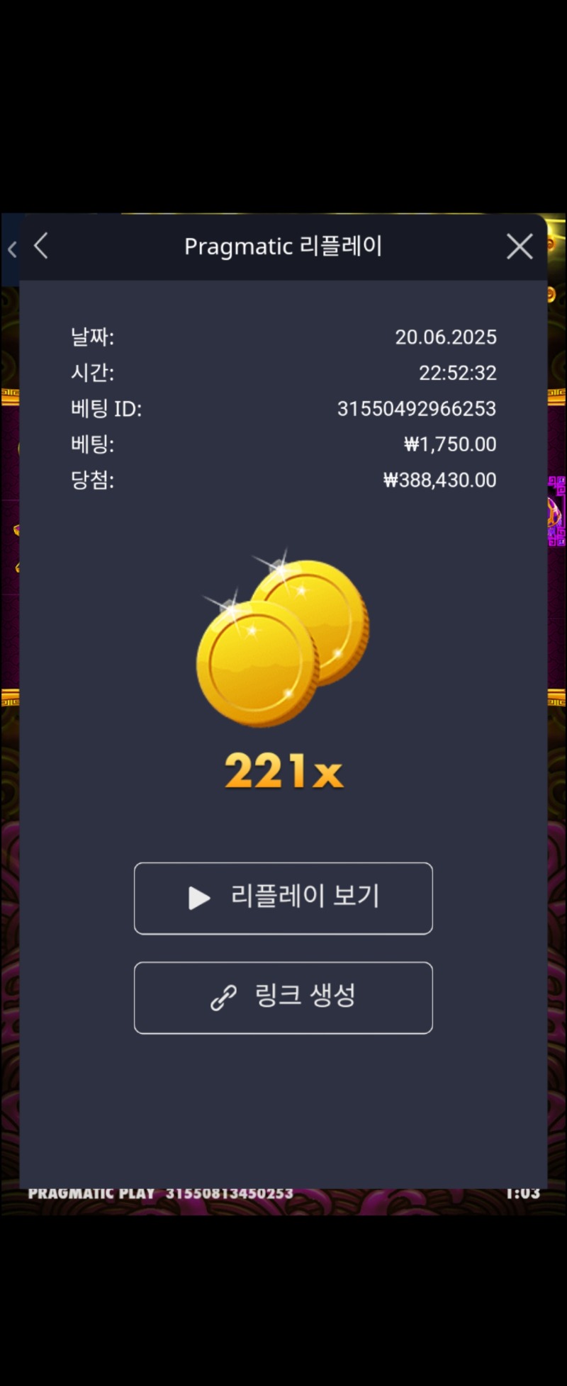 토라메 221배