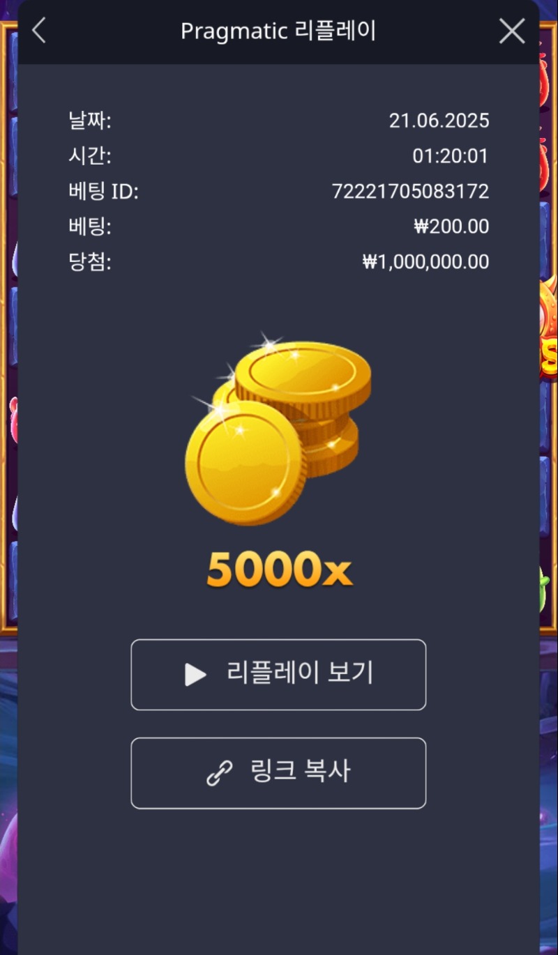 북몬5000배