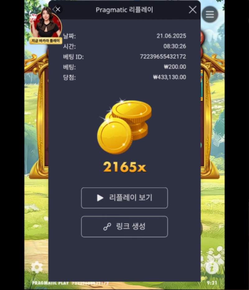 개집..대박