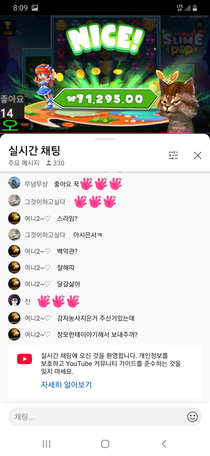 양이방송 놀러오세요