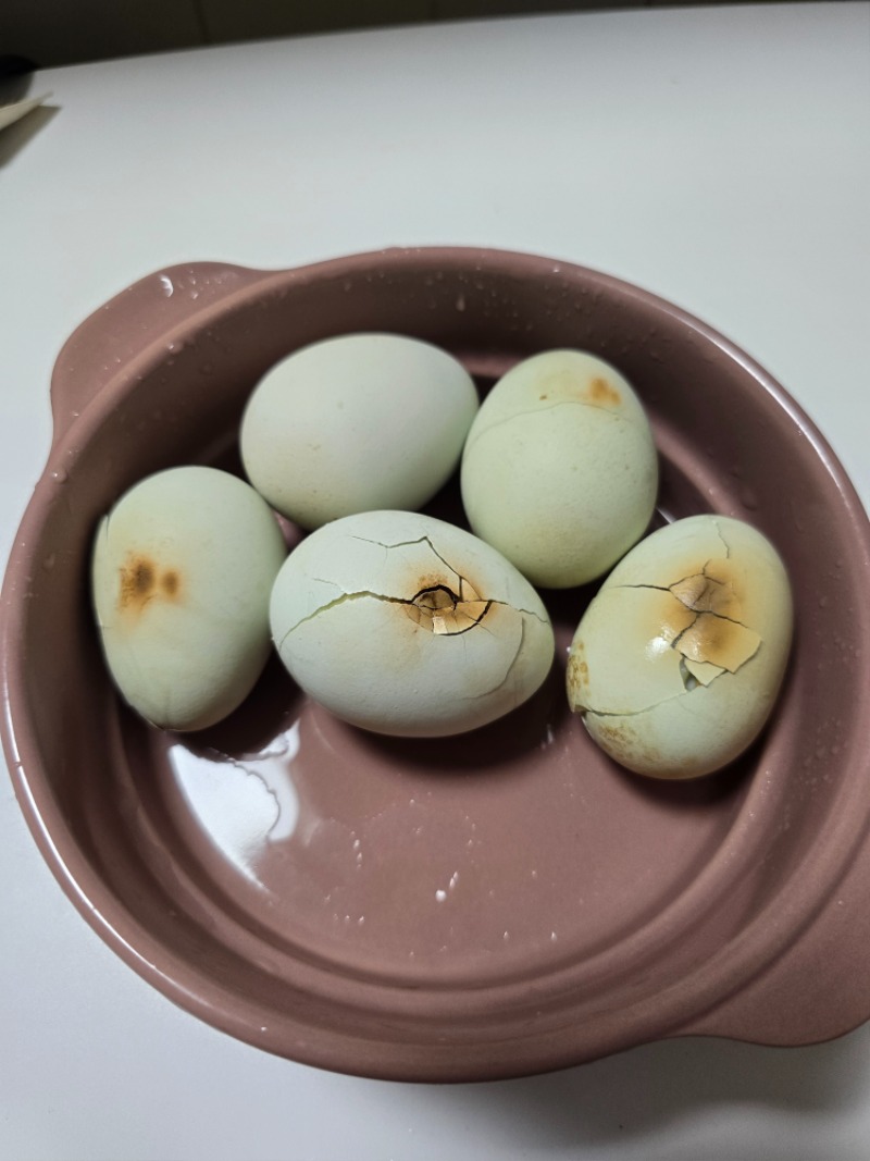 양이 방송보다 태운 달걀~~
