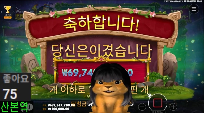 사자 멀린 6974