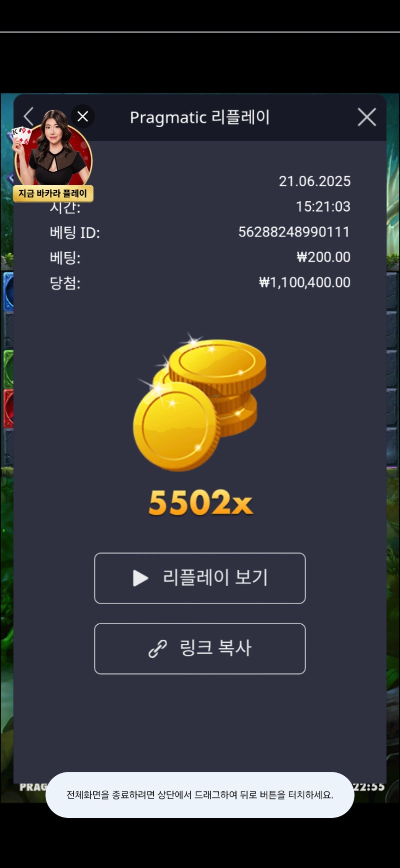 멀린 5502배