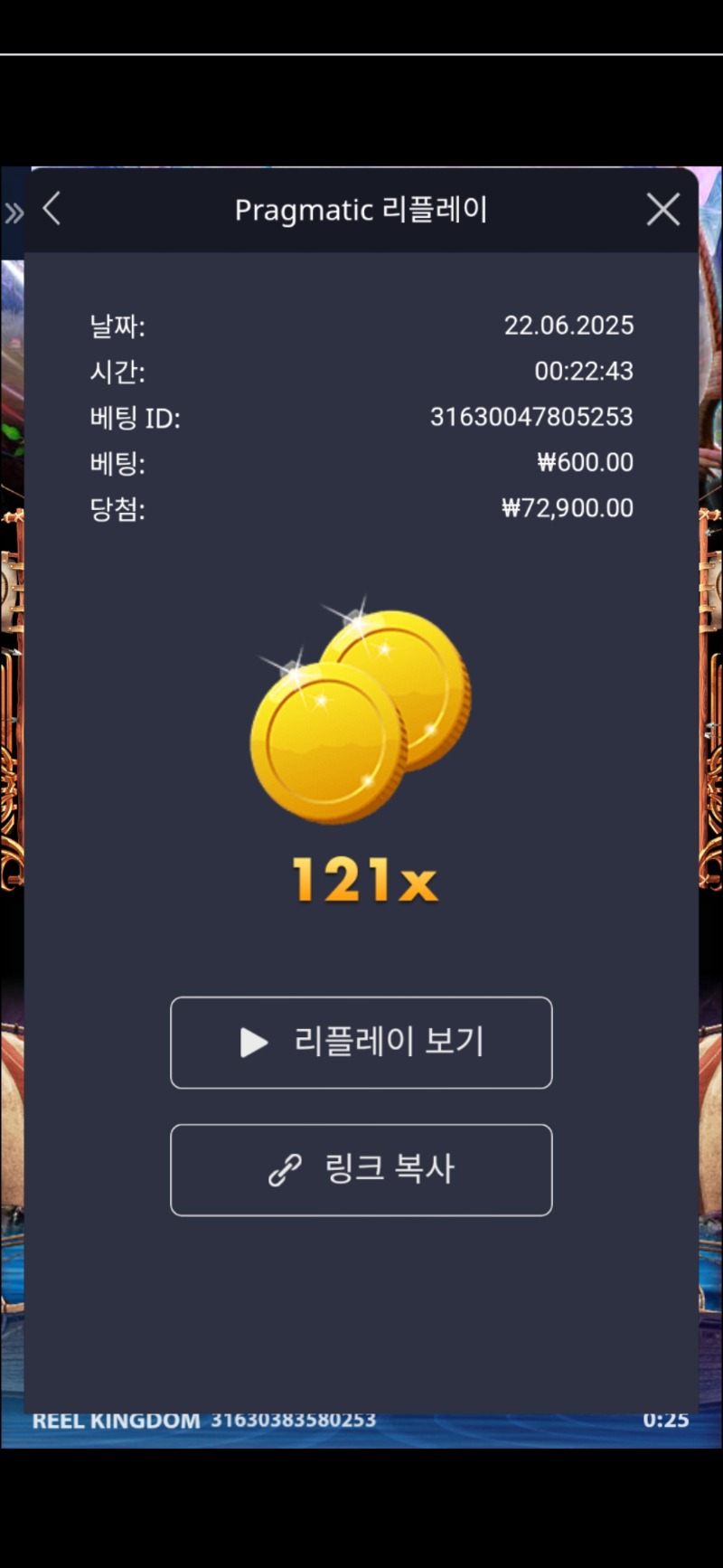 럭키 그레이스 참 121배