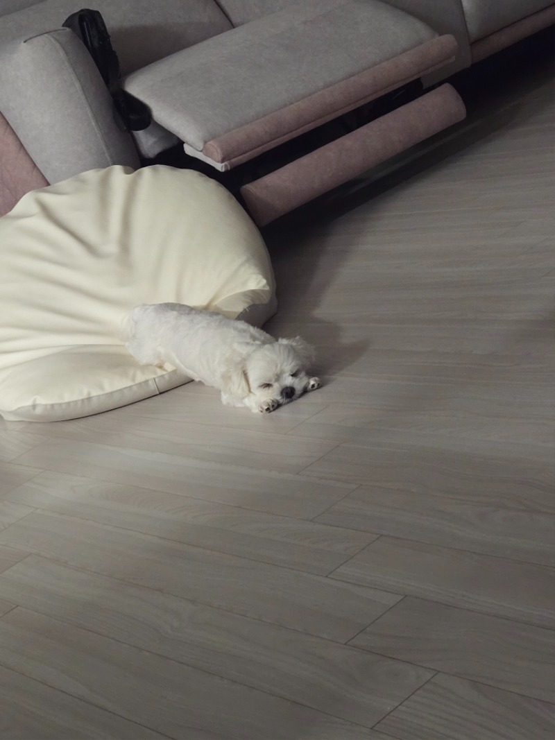 ㅋ잘자용