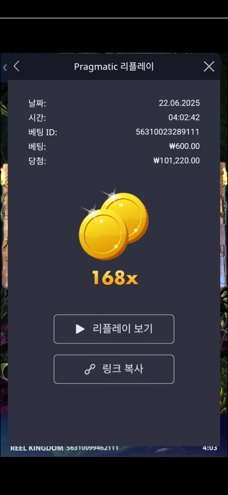 록베가스168배