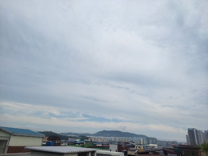 일요일 아침 날씨 좋네요!!!~~