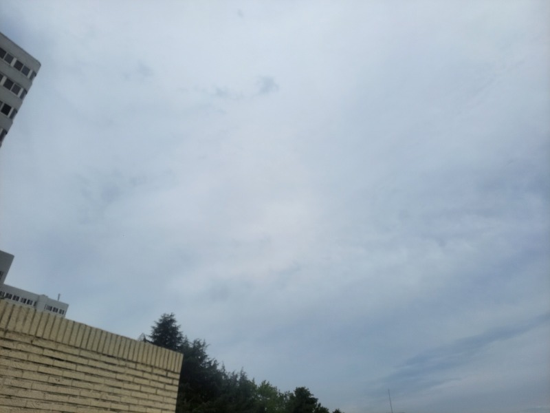 일요일 아침 날씨 좋네요!!!~~