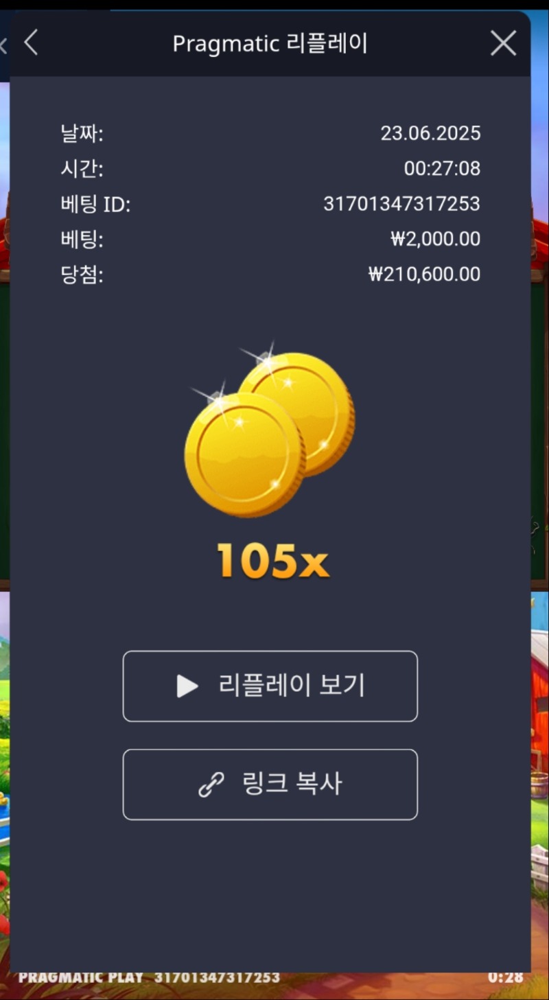 닭집 105배