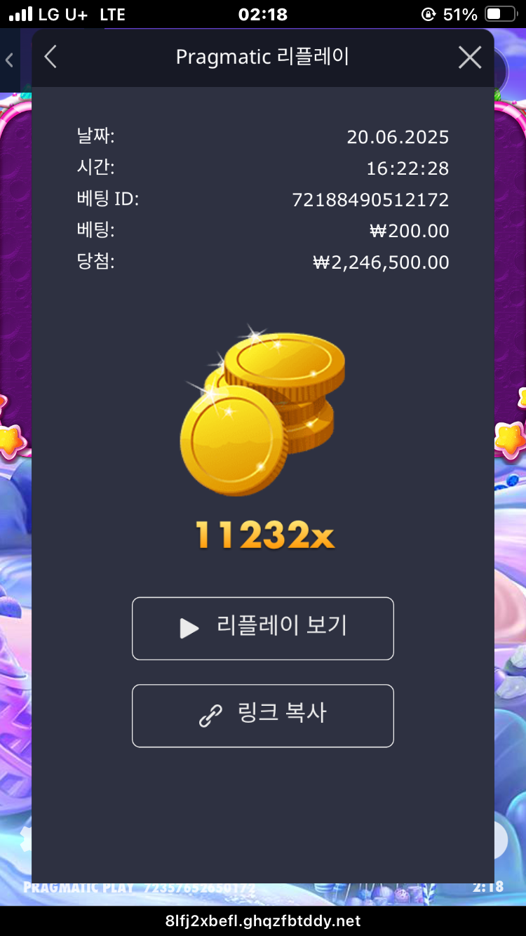 배당왕 먹을 수 있나..