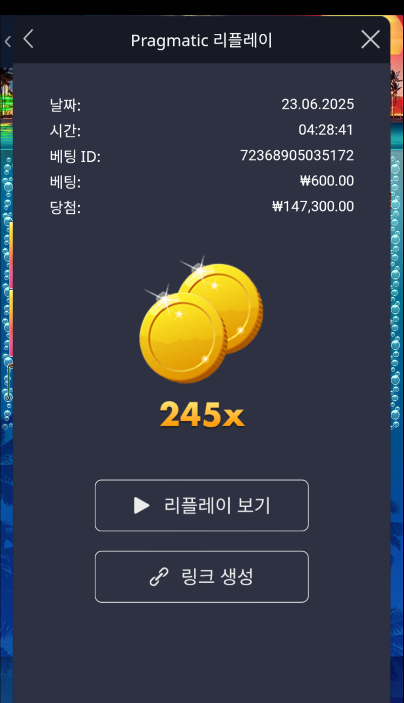 비거베스 보난자 245배